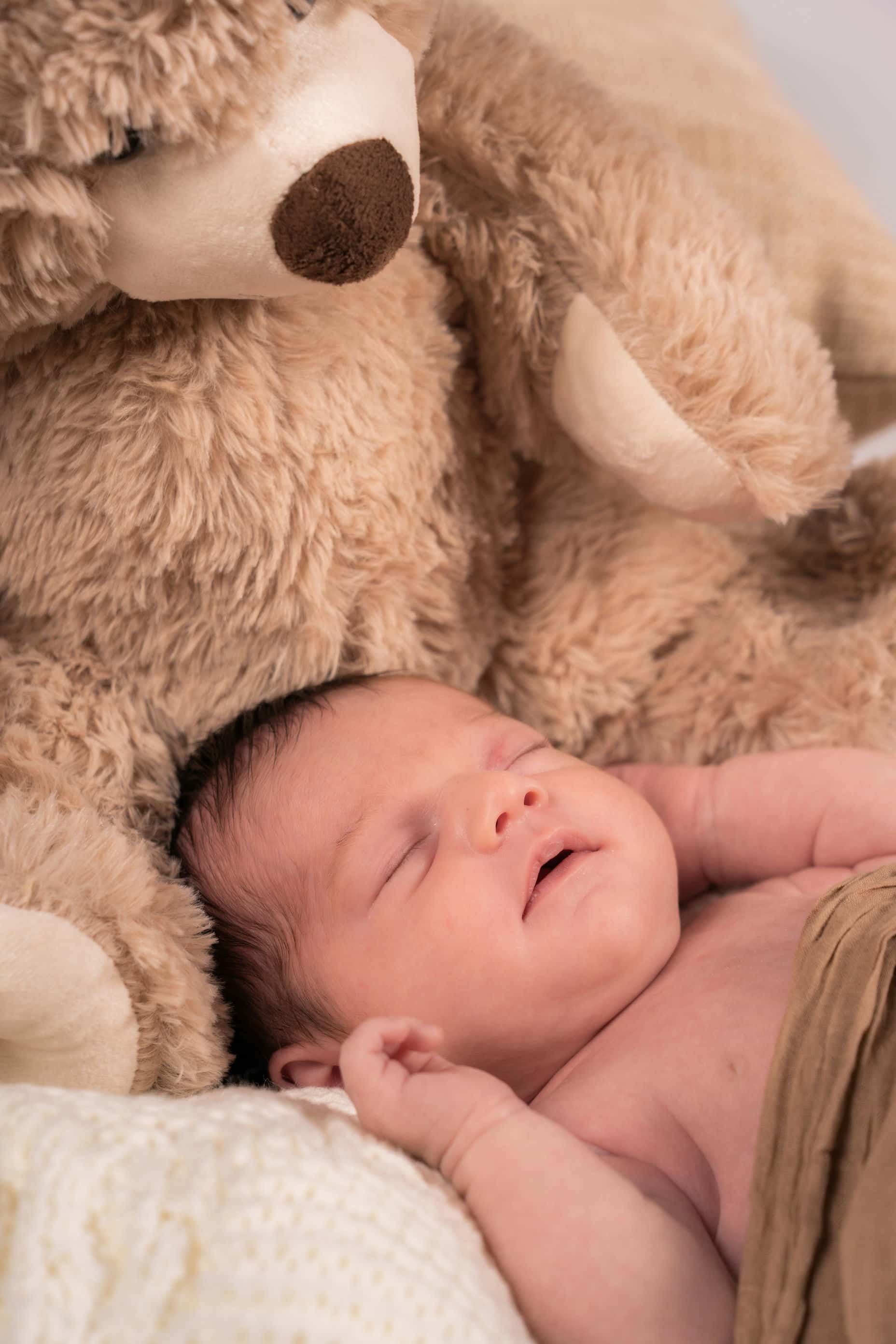 catégorie nouveau-ne